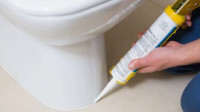 Toilet Repair