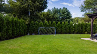 Lawn Aeration