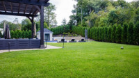 Lawn Weed Removal
