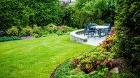Tree and Shrub Care
