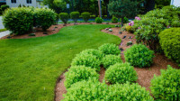 Plant Health Care