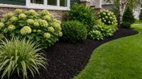 Lawn Fertilization & Weed Control in Elk River, MN
