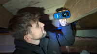 Mold Remediation & Removal