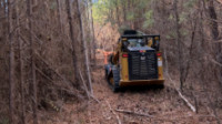 Forestry Mulching