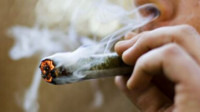 Marijuana Odor Removal
