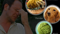 Allergy Relief