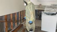 Mold Remediation