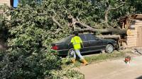 Wind / Storm Damage Repair