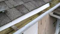 Gutter Repair Services