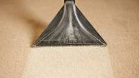 Carpet Steam Cleaning