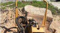 Stump Grinding & Removal