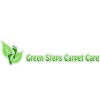 Green Steps Carpet Care