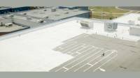 Elastomeric roof coatings