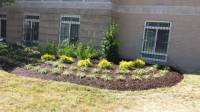 Landscaping & Lawn Care