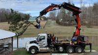 Tree Service