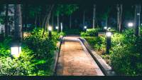 Landscape Lighting