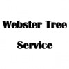 Webster Tree Service