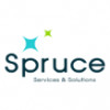 Spruce Pro Pressure Washing
