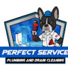The Perfect Service Plumbing and Drain Cleaning