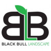 Black Bull Landscapes