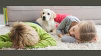 Indoor Air Quality
